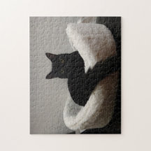 Chat noir