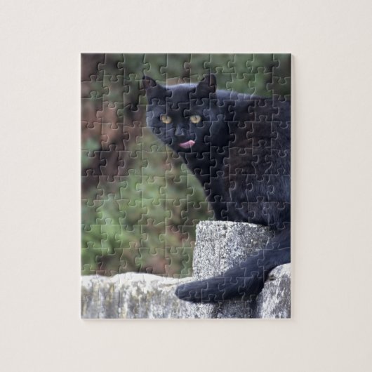 Puzzle Chat noir (Vertical)