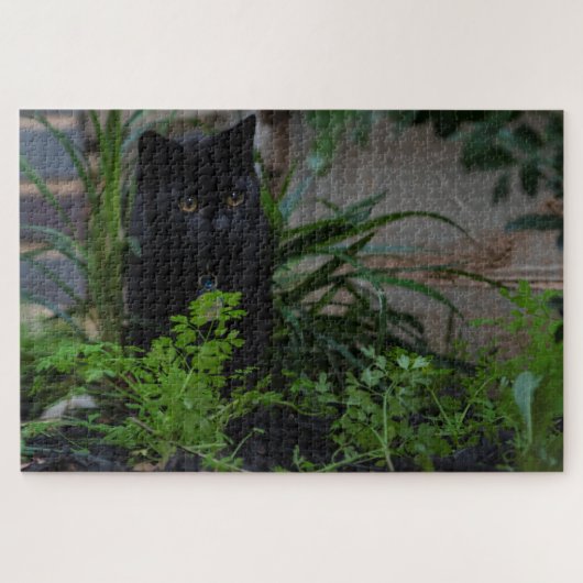 Puzzle Chat noir caché en Plante, 1014 pièces (Horizontal)