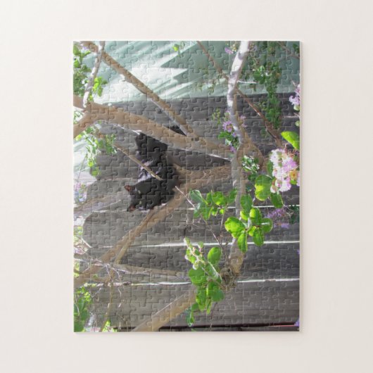 Puzzle - Chat noir dans l'arbre (Vertical)