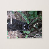 Puzzle Chat noir de chaton (Horizontal)