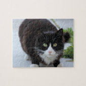 Puzzle Chat noir et blanc (Horizontal)