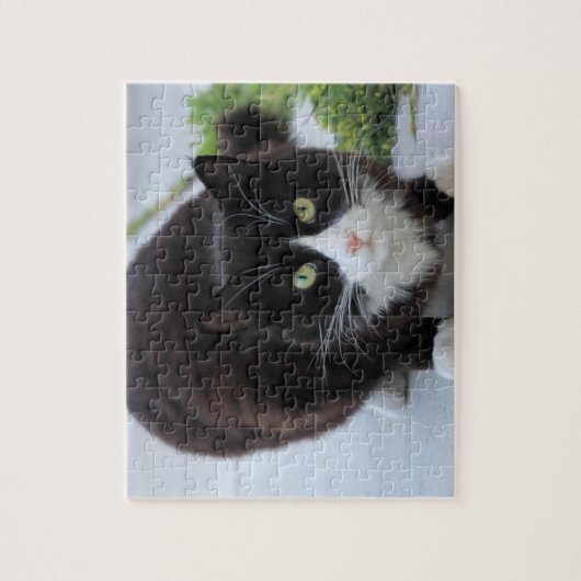Puzzle Chat noir et blanc (Vertical)