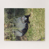 Puzzle Chat Noir Et Blanc Dans Le Jardin, (Horizontal)