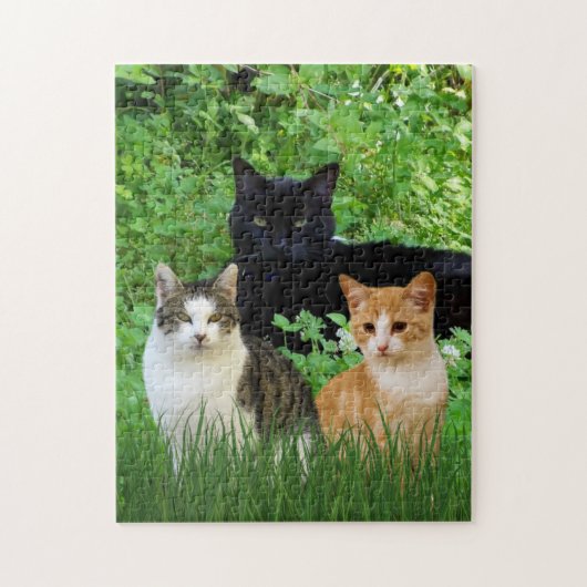 Puzzle Chat noir Tabby Chat Fun Chat Chats en Jardin (Vertical)