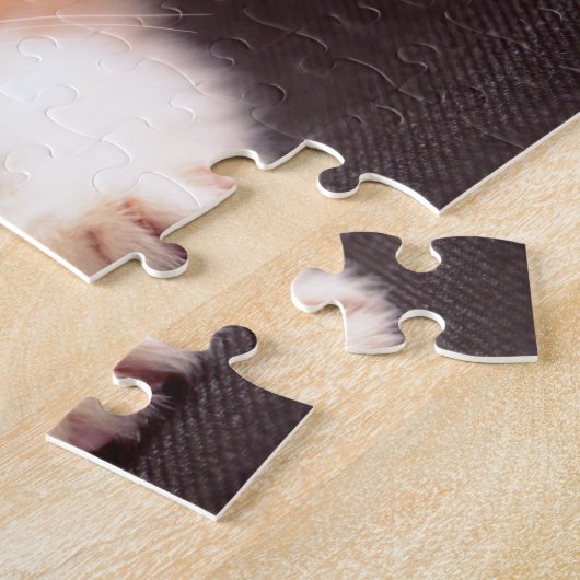 Puzzle Chat orange mignon sur chaton orange ottoman noir (Côté)