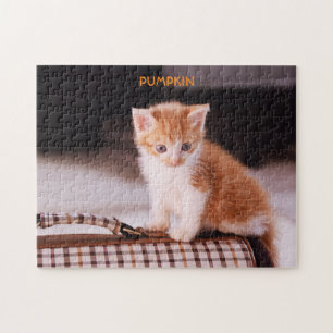 Puzzle Chat orange sur un porteur / Chaton orange