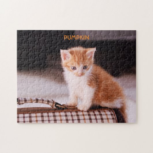 Puzzle Chat orange sur un porteur / Chaton orange (Horizontal)