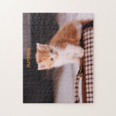 Puzzle Chat orange sur un porteur / Chaton orange (Vertical)