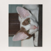 Puzzle Chat Oriental Shorthair (Vertical)