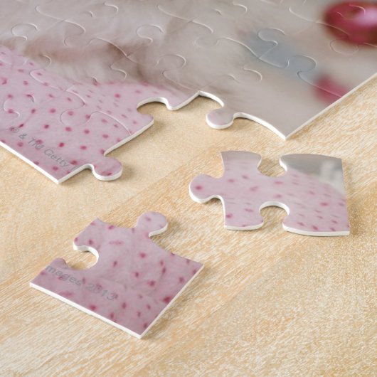 Puzzle Chat persan se reposant sur le coussin rose (Côté)