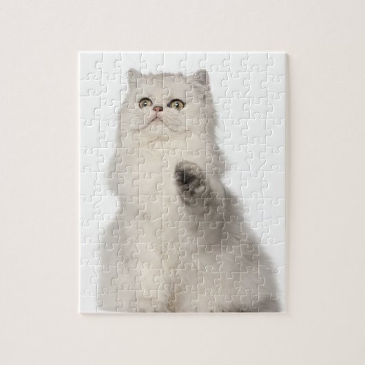 Puzzle Chat perse assis (Vertical)