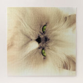 Puzzle Chat Perse Blanc Oeil Vert (Horizontal)