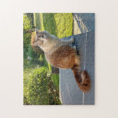 Puzzle chat ragdoll (Vertical)