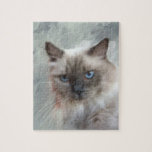 Puzzle Chat Ragdoll