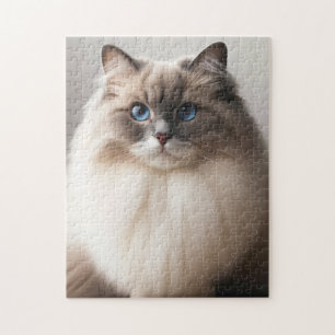 Puzzle Chat Ragdoll aux Yeux Bleus Luxe Douillet
