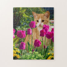 Chat roux dans un jardin de tulipes