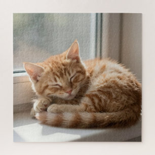 Puzzle Chat roux douillet prenant un bain de soleil