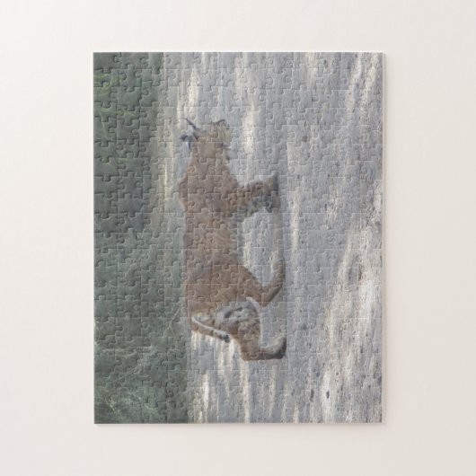 Puzzle Chat sauvage de égrappage (Vertical)