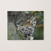 Puzzle Chat sauvage sauvage (Horizontal)