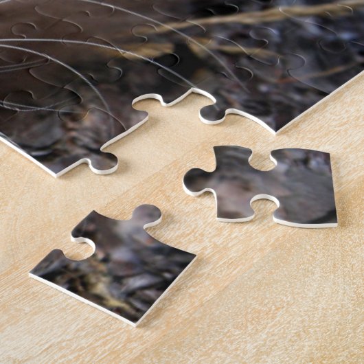 Puzzle Chat Sibérien Dans Une Forêt D'Automne (Côté)