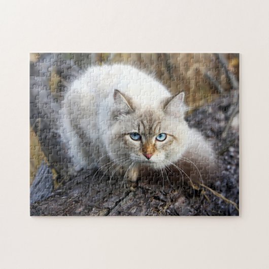 Puzzle Chat Sibérien Dans Une Forêt D'Automne (Horizontal)