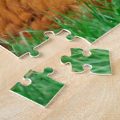 Puzzle Chat somalien Sibérien Husky Cute Friends Huddle L (Côté)