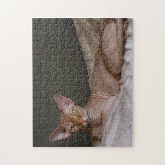 Puzzle Chat Sphinx sans cheveux (Vertical)