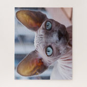 Puzzle Chat Sphynx. (Vertical)