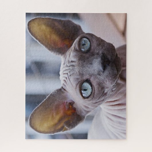 Puzzle Chat Sphynx. (Vertical)
