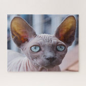 Puzzle Chat Sphynx. (Horizontal)
