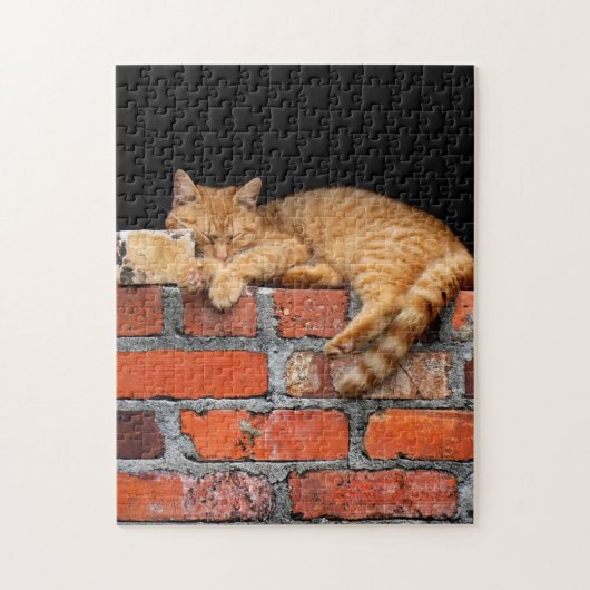Puzzle Chat sur mur de brique (Vertical)