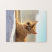 Puzzle Chat Tabby Orange (Horizontal)