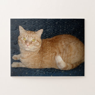 Puzzle Chat Tabby Orange