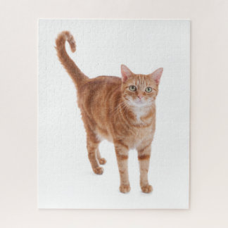 Puzzle Chat Tabby Orange