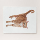 Puzzle Chat Tabby Orange (Horizontal)