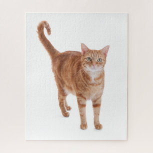 Puzzle Chat tigré orange