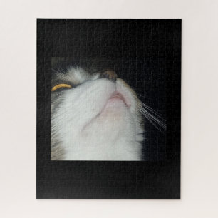 Puzzle Chat tigré regardant vers le haut en gros plan sur