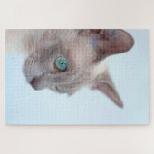 Puzzle Chat Tonkinois. (Horizontal)