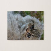 Puzzle Chat velu (Horizontal)