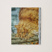 Puzzle Chat viril orange aux cheveux longs pelucheux (Vertical)