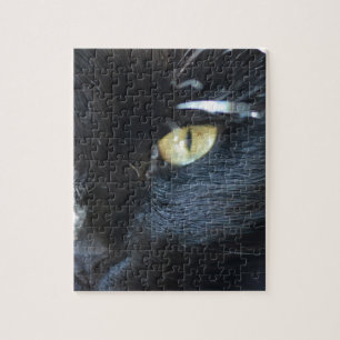 Puzzle Chat vous observant