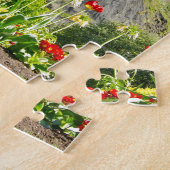 Puzzle Château d'Édimbourg et fontaine Ross (Côté)