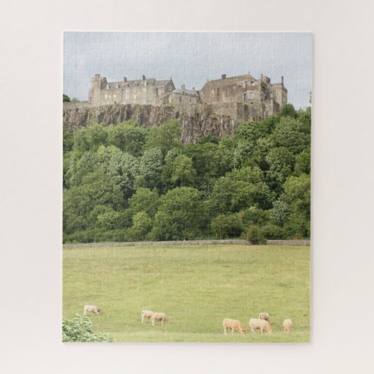 Puzzle château fort étonnant (Vertical)