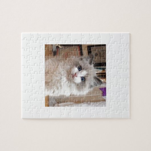 Puzzle Chaton Cutie de Ragdoll (Horizontal)