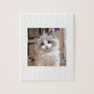 Puzzle Chaton Cutie de Ragdoll
