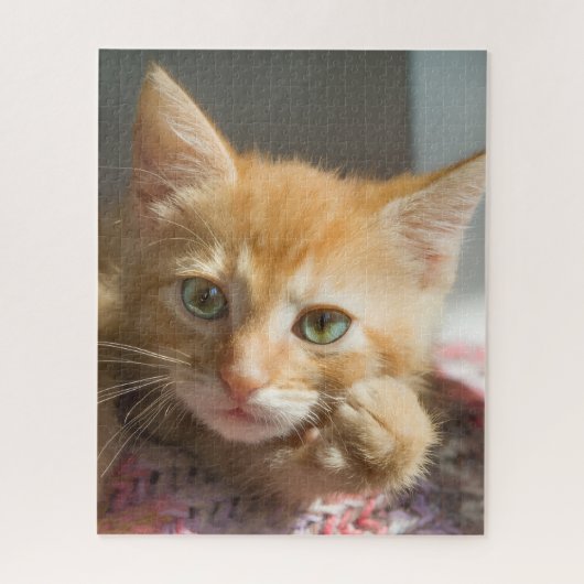 PUZZLE CHATON GINGEMBRE ANNIVERSAIRE (Vertical)