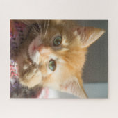 PUZZLE CHATON GINGEMBRE ANNIVERSAIRE (Horizontal)