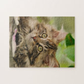 Puzzle Chaton mignon de ragondin du Maine (Horizontal)