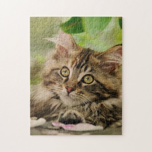 Puzzle Chaton mignon de ragondin du Maine (Vertical)
